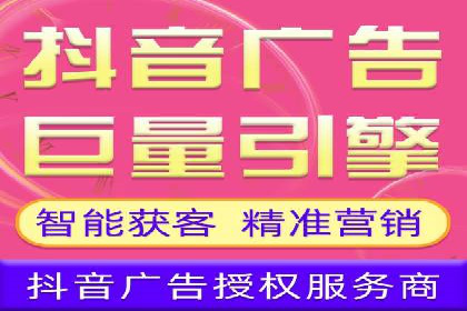 大型SEM服务公司案例分析
